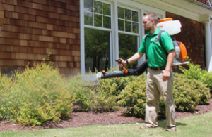 MOJO Technician wearing green shirt and khaki pants, spraying shrubbery with barrier treatment spray